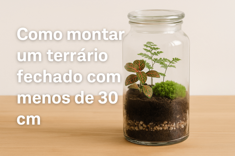 Como montar um terrário fechado com menos de 30 cm
