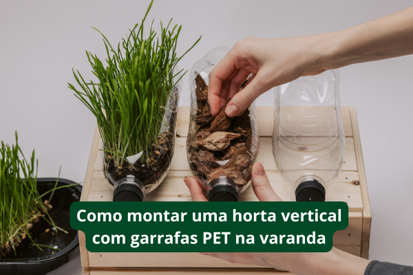 Como montar uma horta vertical com garrafas PET na varanda