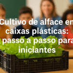 Cultivo de alface em caixas plásticas: passo a passo para iniciantes