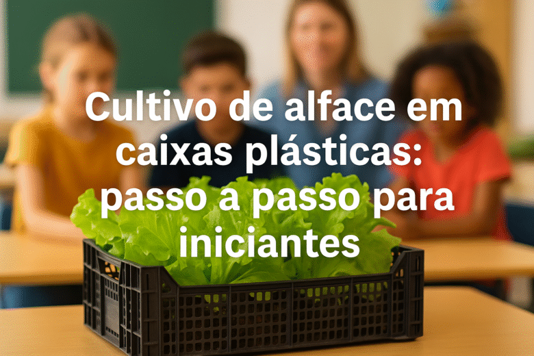 Cultivo de alface em caixas plásticas: passo a passo para iniciantes