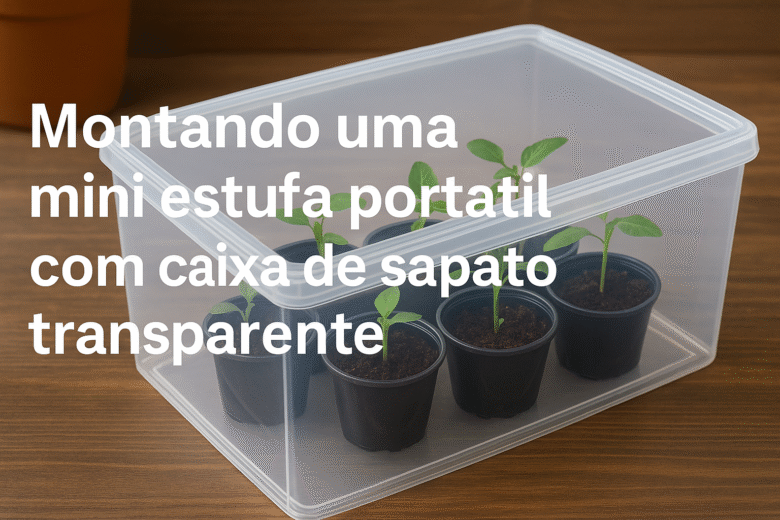 Montando uma mini estufa portátil com caixa de sapato transparente