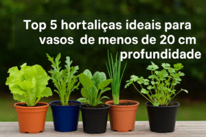 Top 5 hortaliças ideais para vasos de menos de 20 cm de profundidade